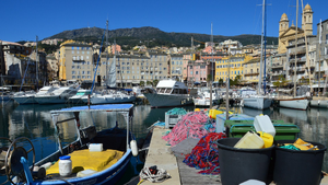 Tatoueur Bastia